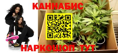 ПСИЛОЦИБИНОВЫЕ ГРИБЫ Кимры