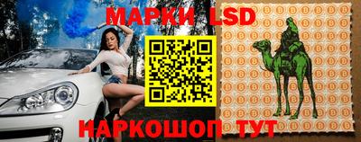 ПСИЛОЦИБИНОВЫЕ ГРИБЫ Кимры